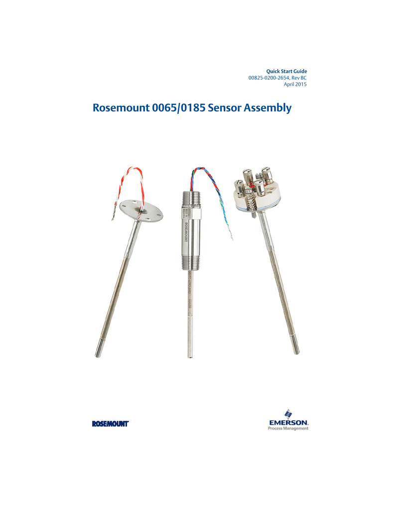 0065 Rosemount Pdf