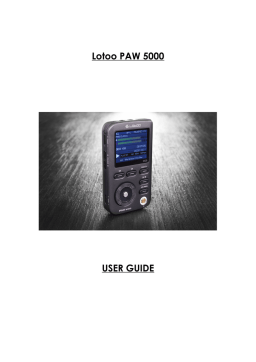 Lotoo PAW 5000 User Guide