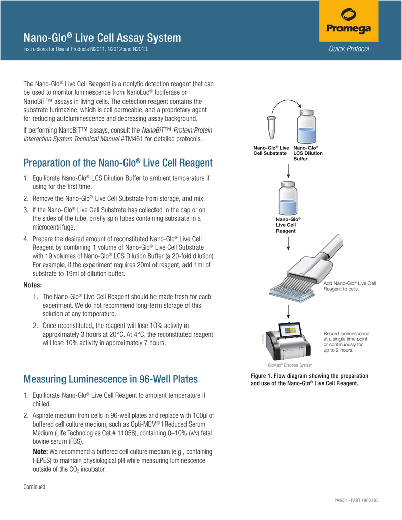 Nano Glo Live Cell Assay System Quick Protocol Fb195 Manualzz