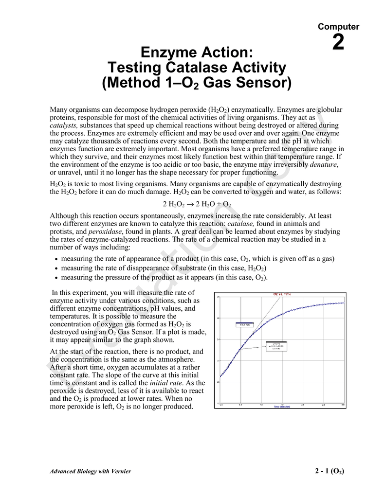 Enzyme action: testing catalase activity lab answers image
