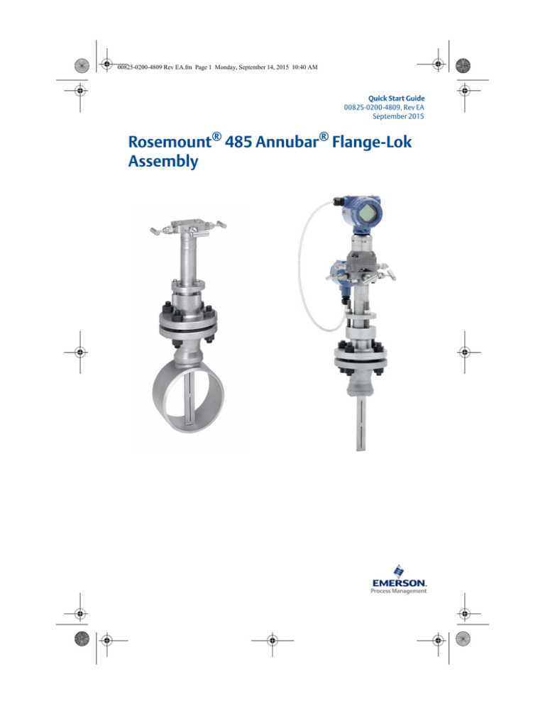 Rosemount 485 Annubar Flange | Manualzz