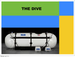 Summit to Sea Dive Hyperbaric Chamber Instruction Manual