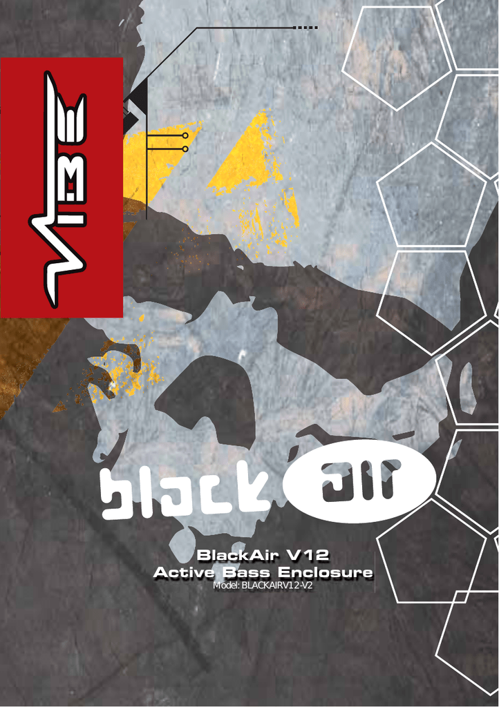 black air vented v12 subwoofer