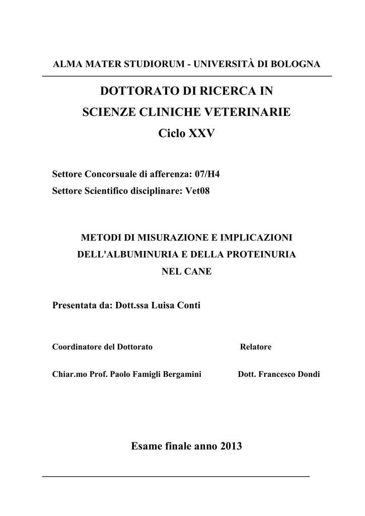 SCARICARE FAC SIMILE FRONTESPIZIO PROJECT WORK