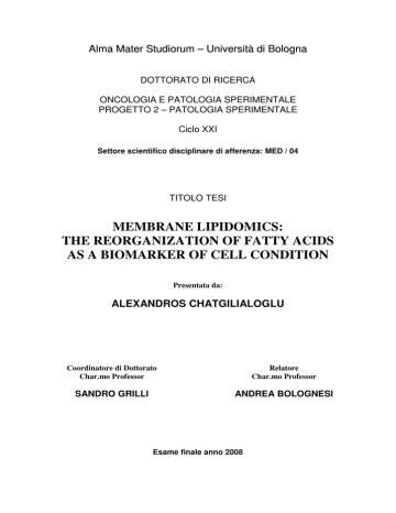 chatgilialoglu alexandros tesi manualzz