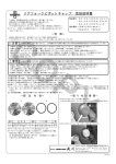 TAKEGAWA CBR250R, CB250F リアフォークピボットキャップ 取扱説明書