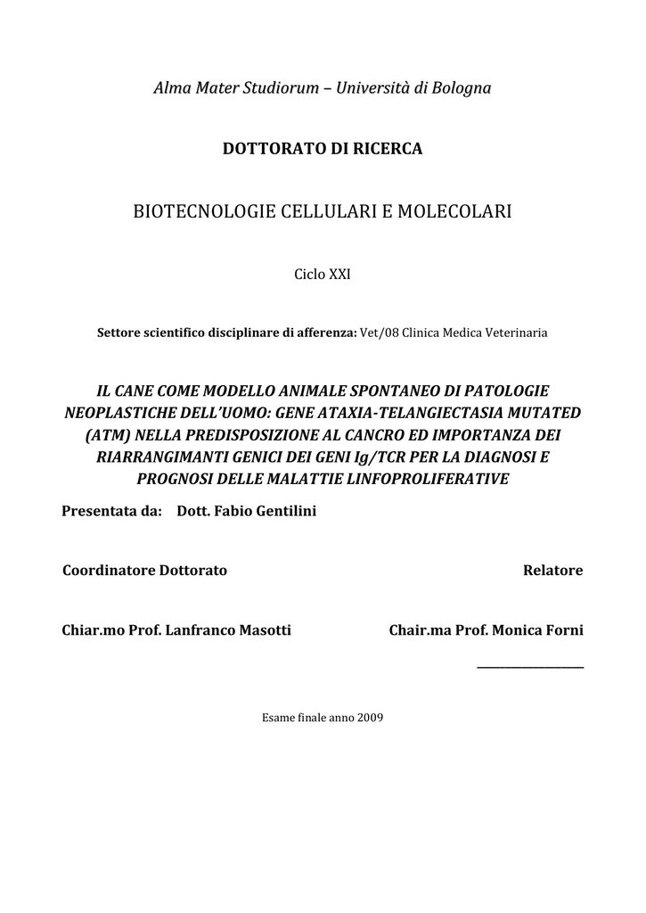 qual è la definizione di dieta ciclica citogenica qual è la definizione di dieta ciclica citogenica