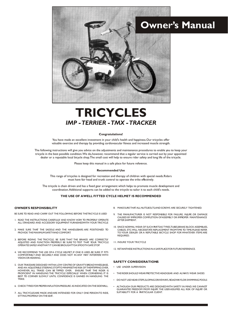 theraplay trikes