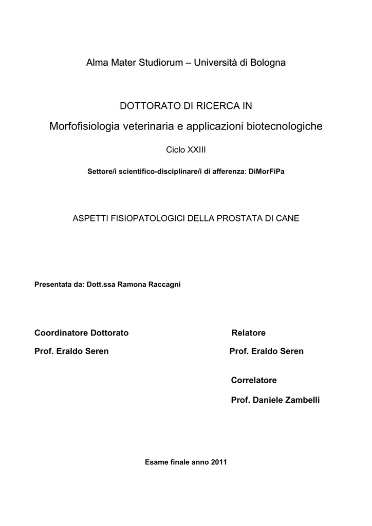 Somiglianze delle vescicole seminali e della prostata