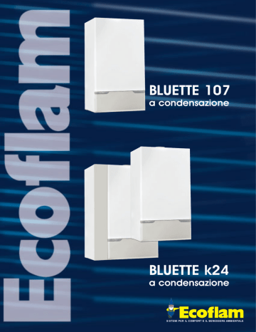 ecoflam bluette 107 manual