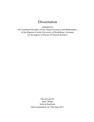 What is a dissertation image