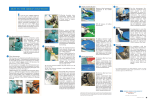 CIDEX Solutions User Manual