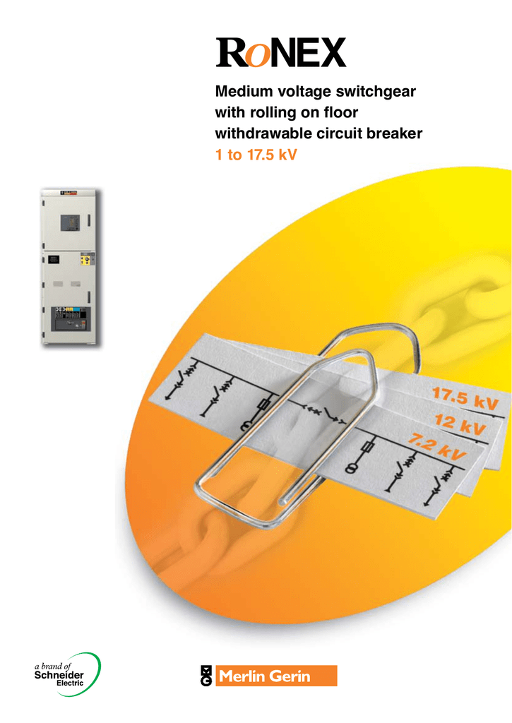 france electricity voltage