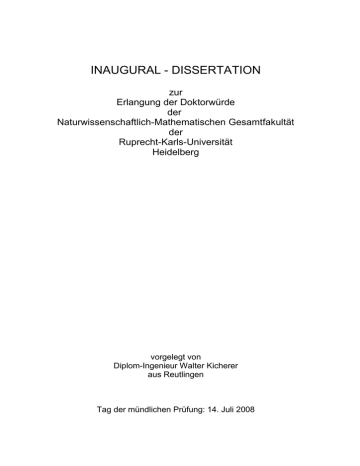 What is a dissertation image