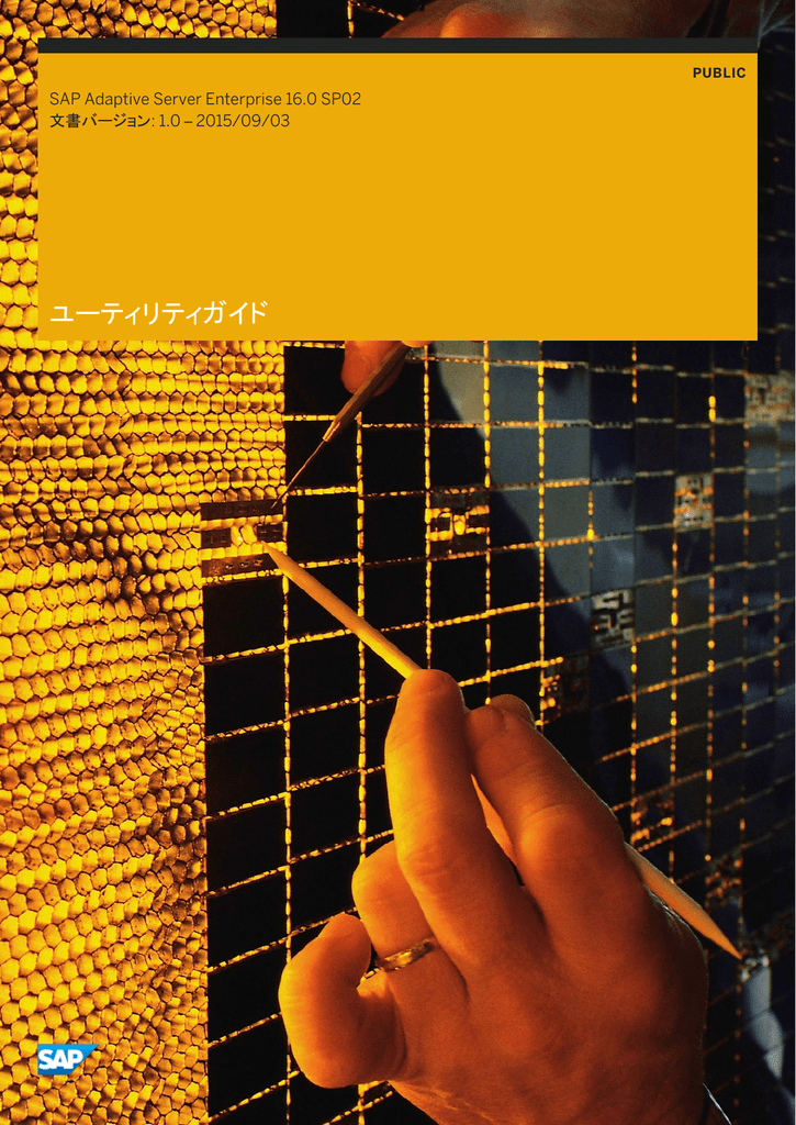 ユーティリティガイド Sap Adaptive Server Enterprise 16 0 Sp02 15 09 03 1 0 Manualzz