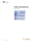 Amersham Protein Electrophoresis | AI &amp; PDF Download