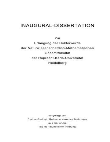 Dissertationrm Manualzz