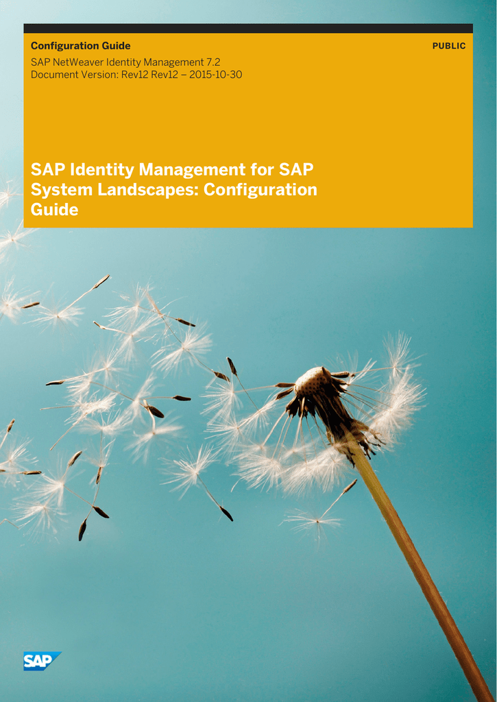 Sap Identity Management For Sap System Landscapes Configuration Guide Configuration Guide Manualzz