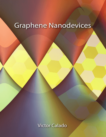 Vandersypen thesis picture