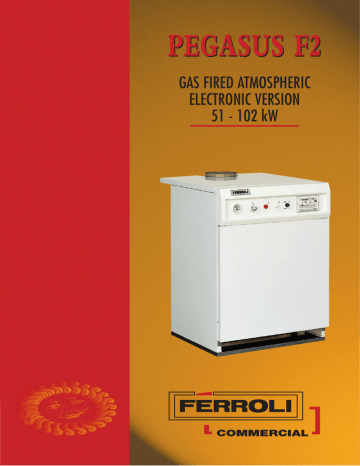 f2 code on boiler