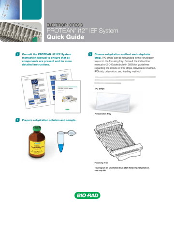 PROTEAN i12 IEF System Quick Guide | Manualzz