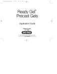 Bio-Rad Ready Gel Precast Gels Application Guide