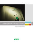 Bio-Rad Criterion Stain Free Imager: AI &amp; PDF Access