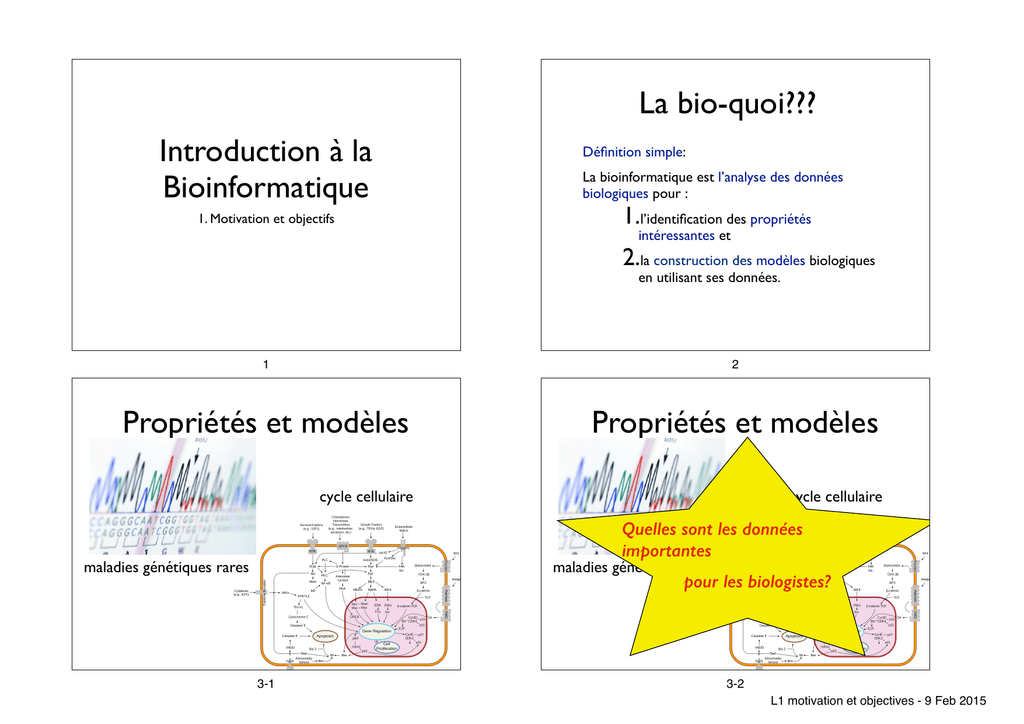 Bioinformatique Et Données Biologiques - Science