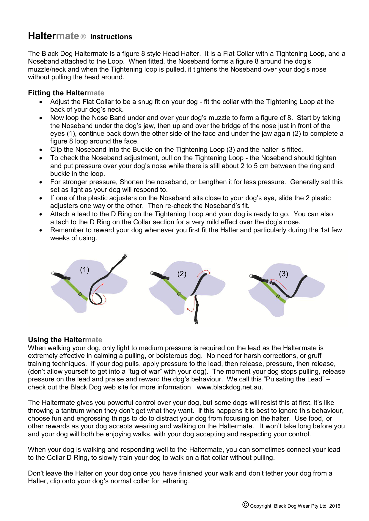 figure of 8 lead instructions