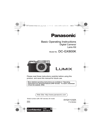 PANASONIC LUMIX DC-GX800 12-32MM LENS COMPACT CAMERA USB DATA SYNC & CHARGE LEAD