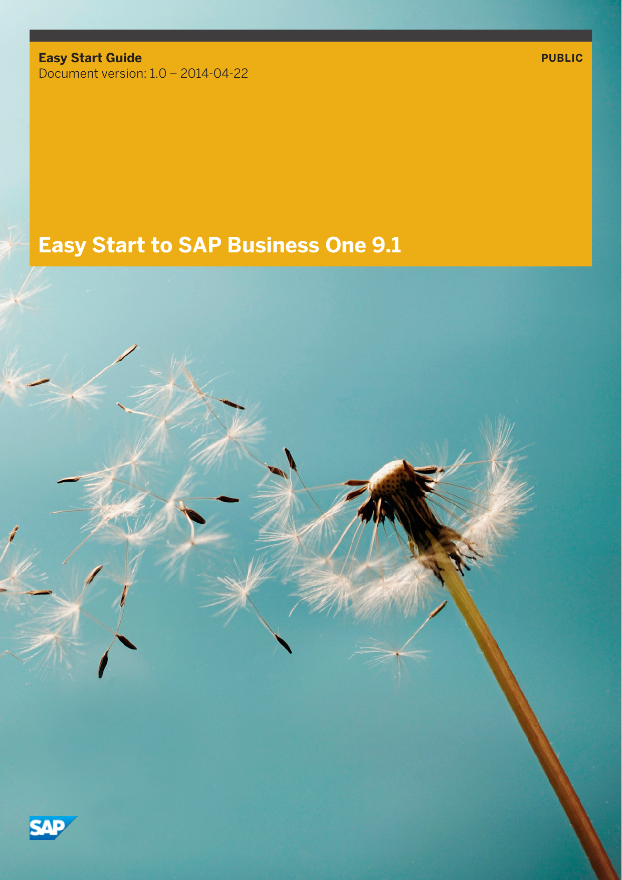 Sap Business One 9 2 License Comparison Chart