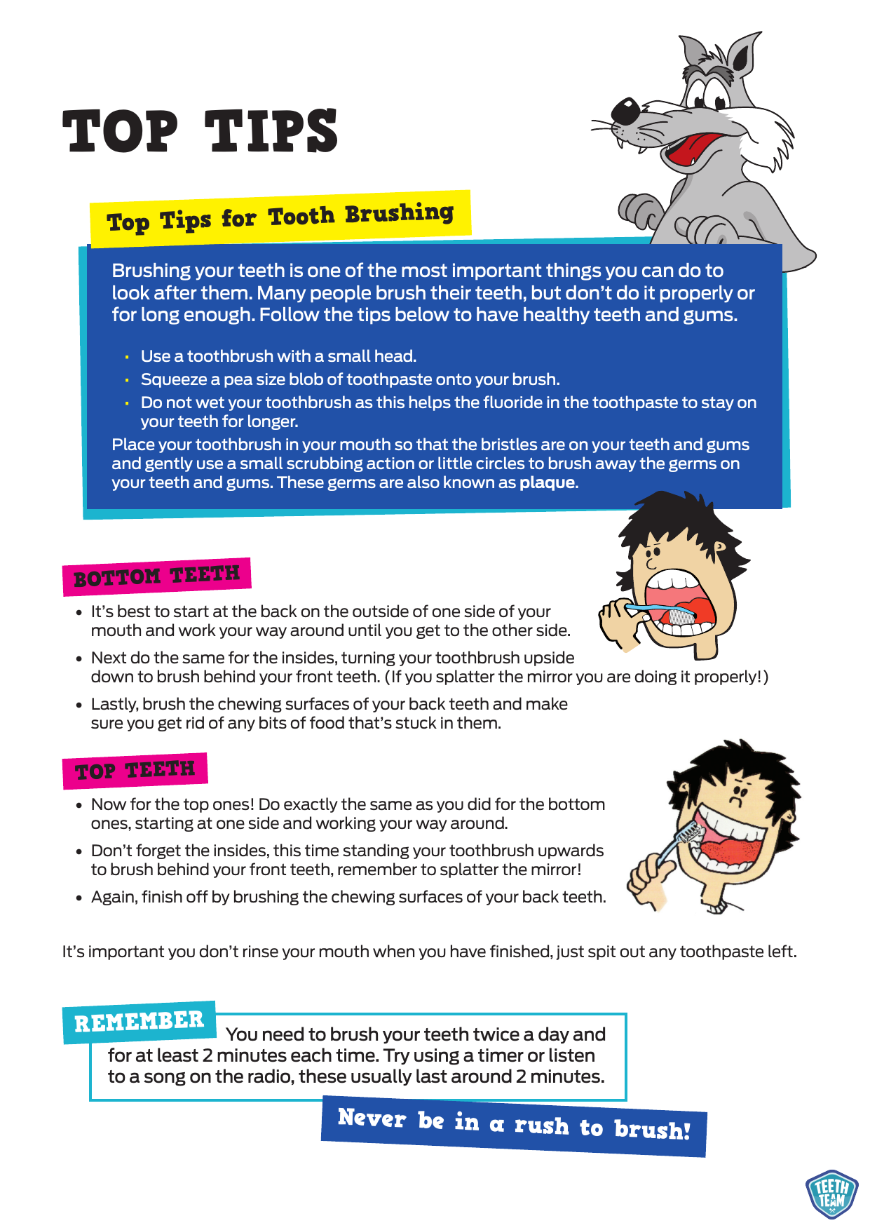 Teeth Top Tips Manualzz