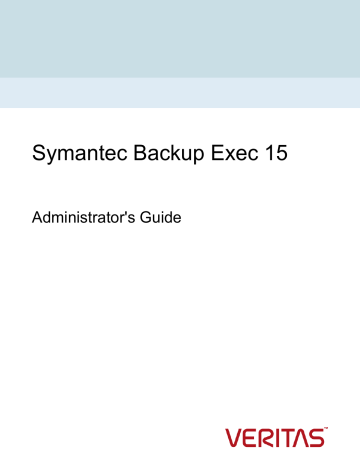 backup exec 2010 source selections icons