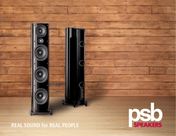 PSB Alpha VS21 Sound Base/Sound Bar or Computer speaker TV Extension Speaker 