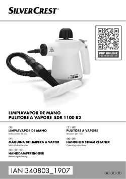 silvercrest handheld steam cleaner