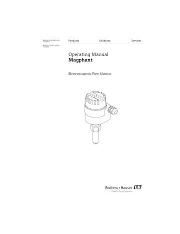 Endres+Hauser Magphant Operating Instruction | Manualzz