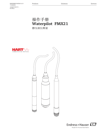 Датчик уровня waterpilot fmx21