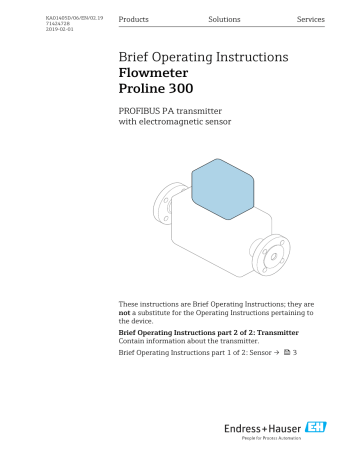 Endres+Hauser Flowmeter Proline 300 Brief Short Instruction | Manualzz