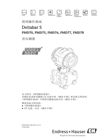 Endres+Hauser Deltabar S FMD77/78; PMD75 Brief ユーザーマニュアル | Manualzz
