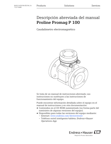 Endres+Hauser Proline Promag P 100 Brief Manual De Usuario | Manualzz