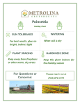 METROLINA GREENHOUSES 4404 2 Qt. Poinsettia White w/Red Foil (3-Pack) Use and Care Manual