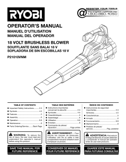 Ryobi p21100vnm online