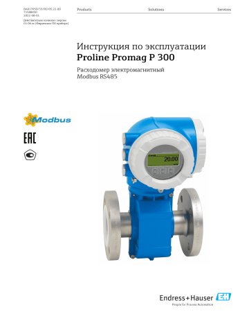 Endres+Hauser Proline Promag P 300 Инструкция по эксплуатации | Manualzz