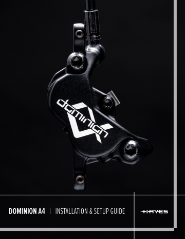 hayes dominion a4 for sale