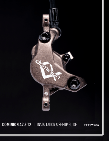 hayes dominion a2 review