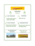 Vigoro 4406 2 Qt. Christmas Beauty Poinsettia Use and Care Manual