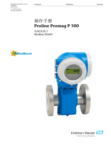 Endres+Hauser Proline Promag P 300 取扱説明書 | Manualzz